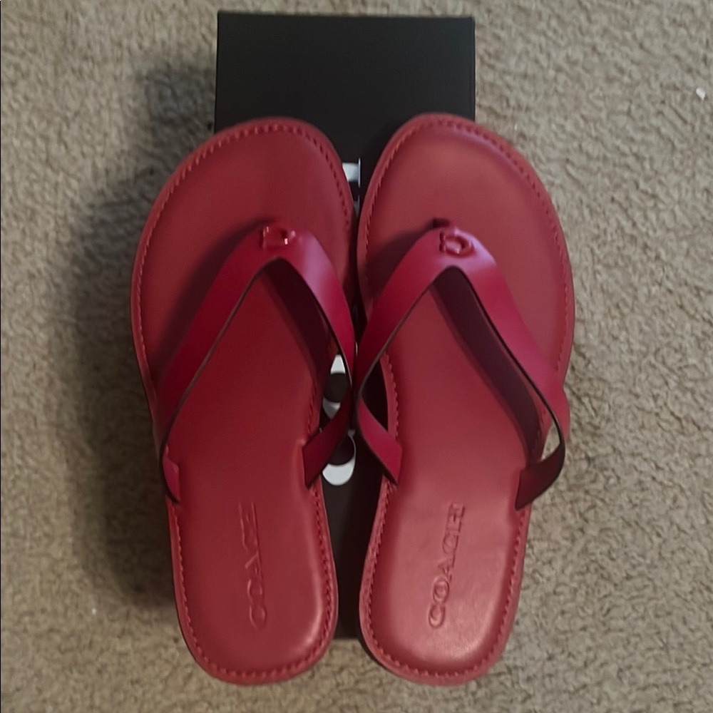Coach Brianna Leather flip flops